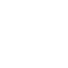 Life Insurance icon